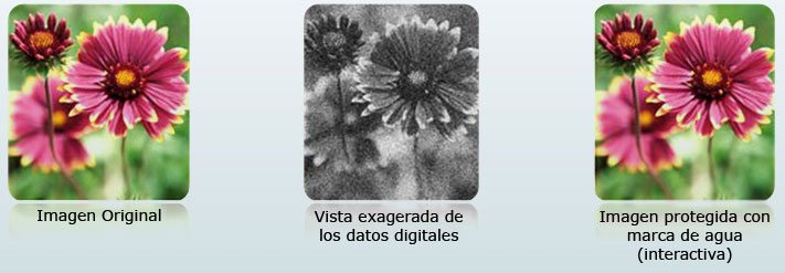 Marca de Agua